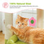 Petit arbre à chat équipé de condo, 1 lit supérieur, 1 plateforme, poteaux griffoir et pompon - Ayyara