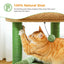 Petit arbre à chat doté de 1 maisonnette, 2 plateformes, griffoir sisal et pompon - Aylune