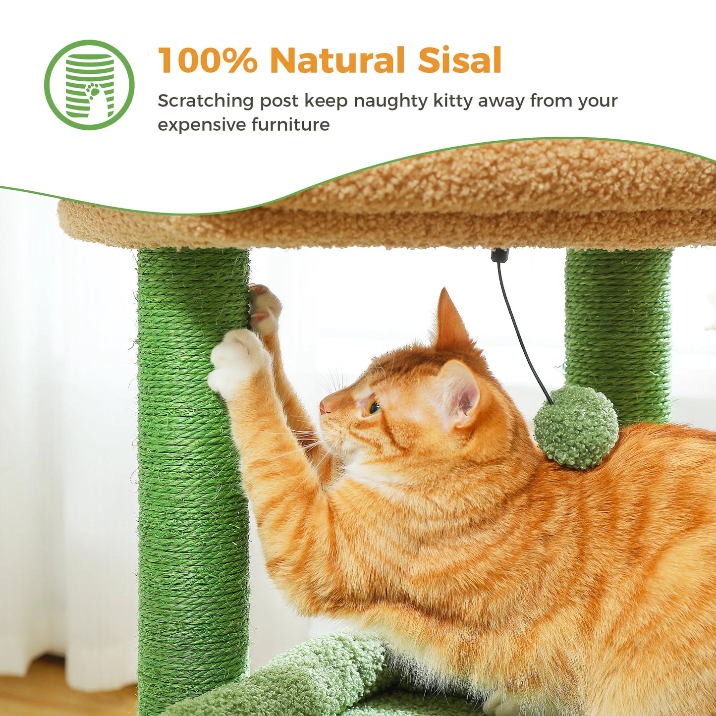 Petit arbre à chat doté de 1 maisonnette, 2 plateformes, griffoir sisal et pompon - Aylune