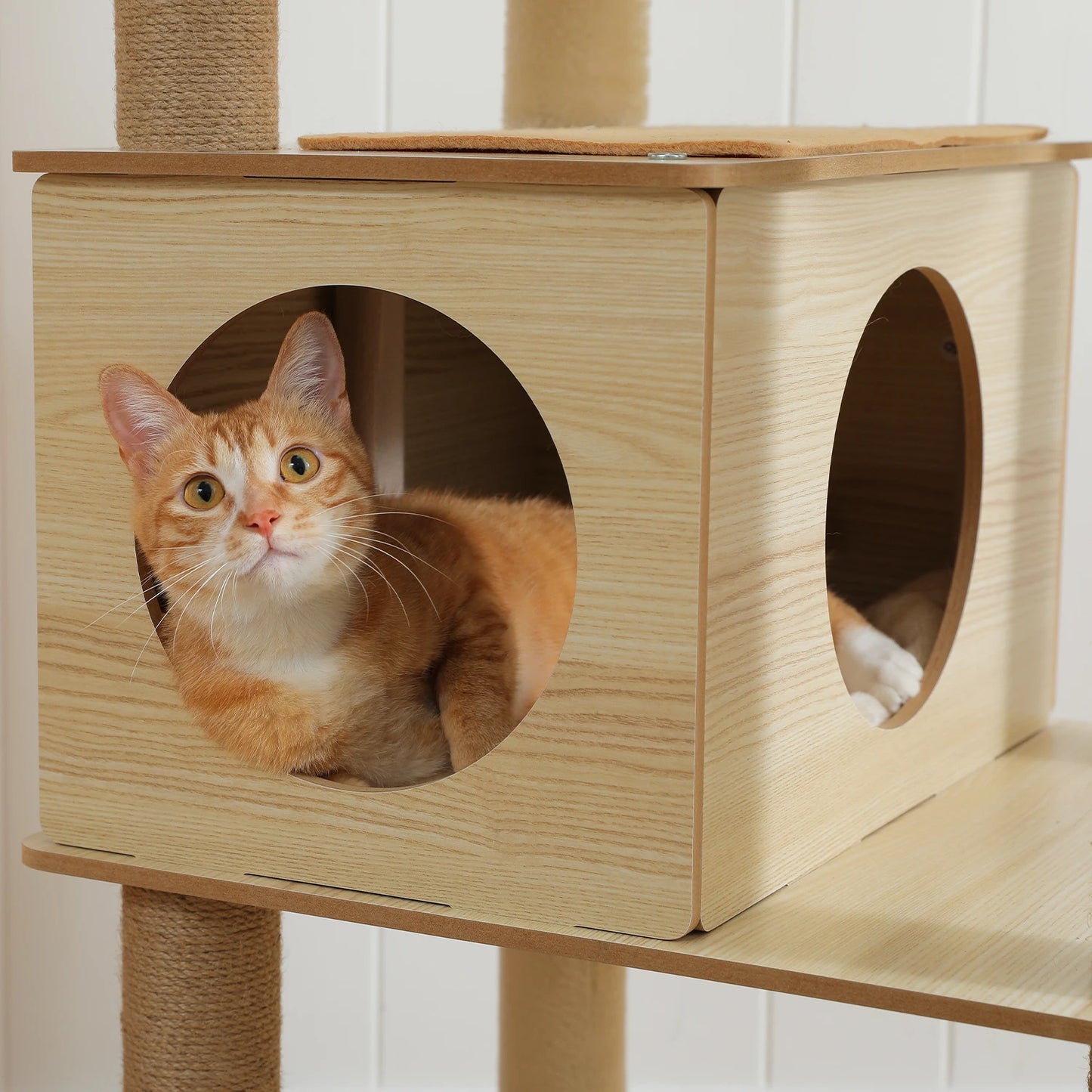 Arbre à chat bois avec plusieurs plateformes, tour d'observation et poteaux griffoir – Lirona