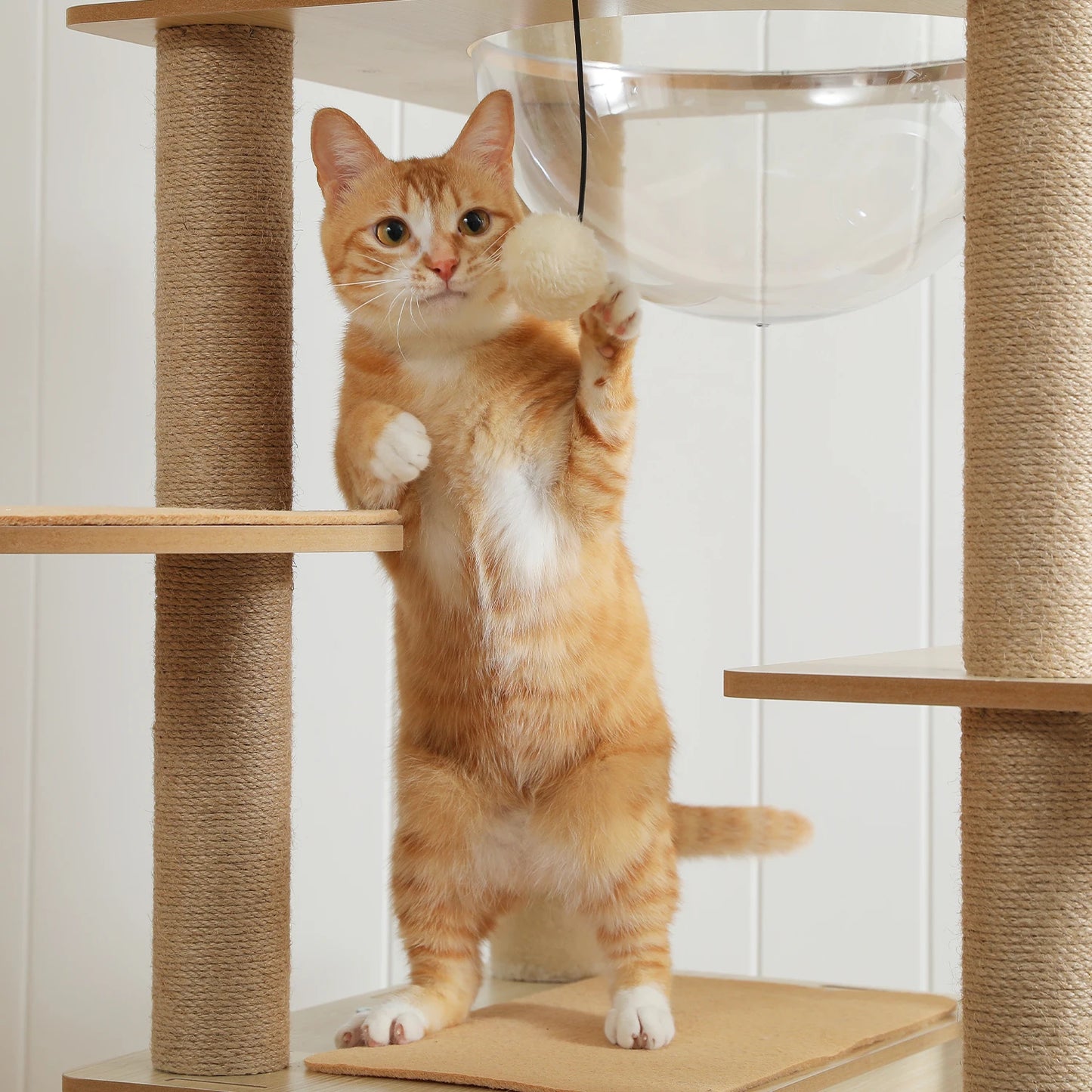 Arbre à chat bois avec plusieurs plateformes, tour d'observation et poteaux griffoir – Lirona