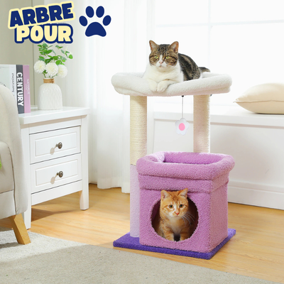 Petit arbre à chat avec 1 tour d'observation, condo, pompon et griffoir sisal - Deryaline