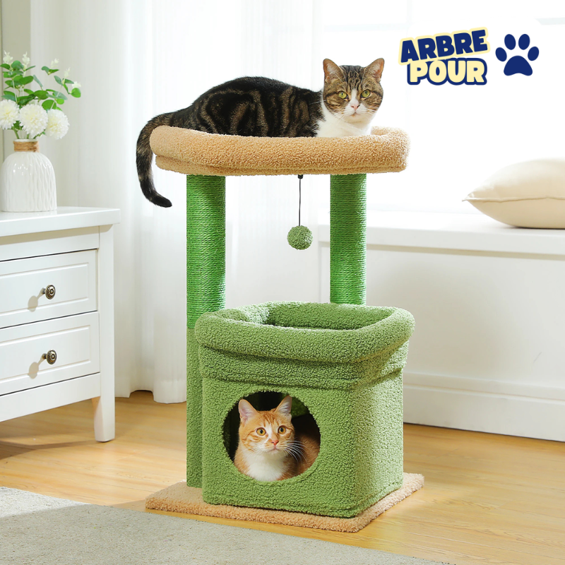 Petit arbre à chat doté de 1 maisonnette, 2 plateformes, griffoir sisal et pompon - Aylune