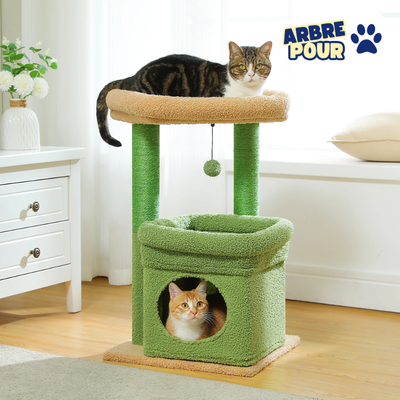 Petit arbre à chat doté de 1 maisonnette, 2 plateformes, griffoir sisal et pompon - Aylune