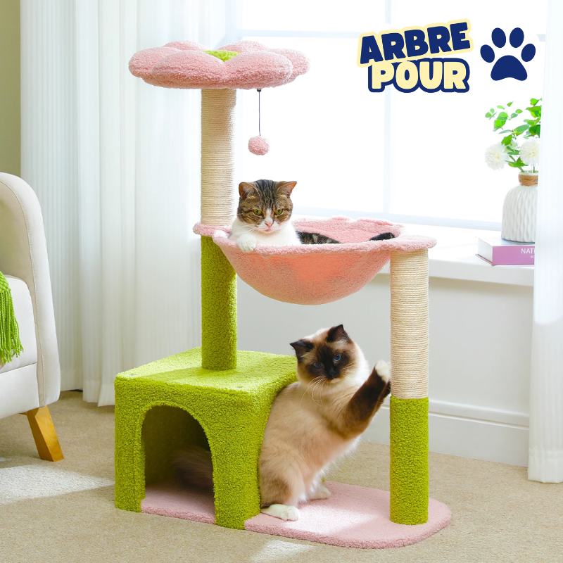 Petit arbre à chat avec 1 condo, 1 panier, 1 niche supérieure, griffoir et balle - Lopi