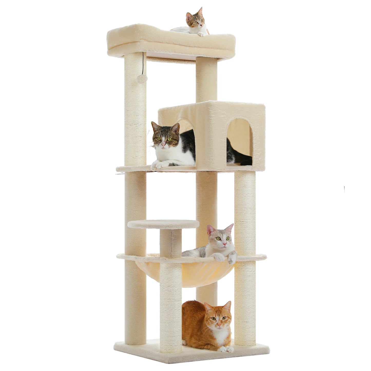 Arbre à chat maine coon beige avec condo ferme, hamac suspendu, tour d observation superieure, poteaux griffoir en sisal et balle